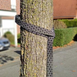 Body Wisdom Sling Trainer attaached to a vertical tree stem