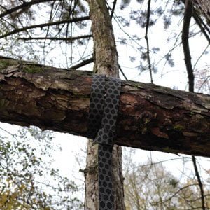 The Body Wisdom Sling Trainer attached to a horizontal tree branch - overhead setting